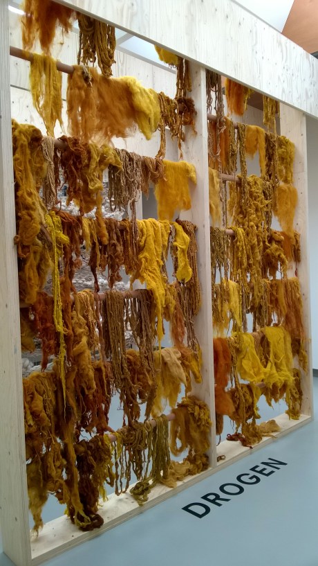 WP_20160513_003 - kopie