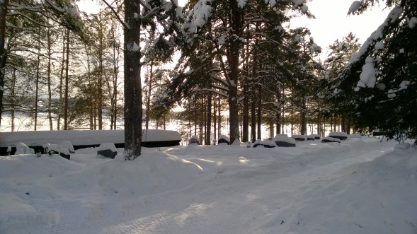 WP_20180222_045 - kopie