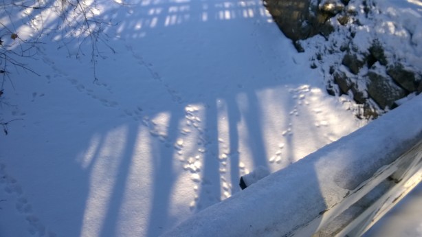 WP_20180226_024 - kopie