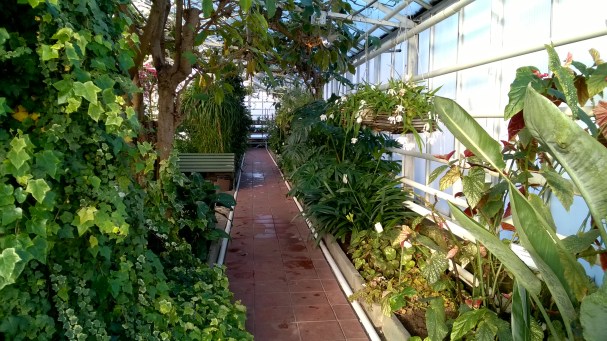 WP_20180226_031 - kopie