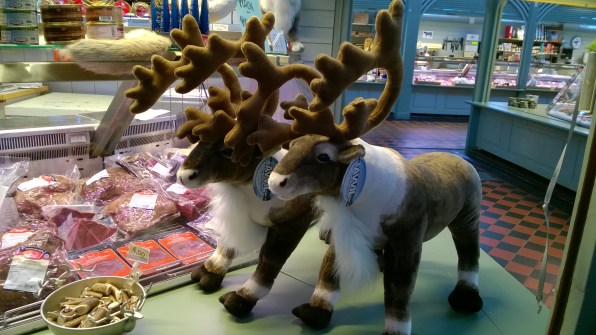 WP_20180226_046 - kopie